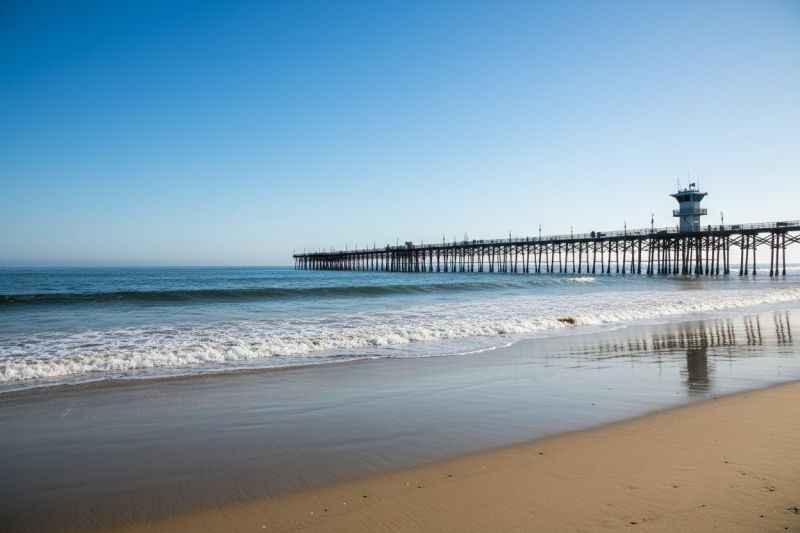 Sea Wall Installation