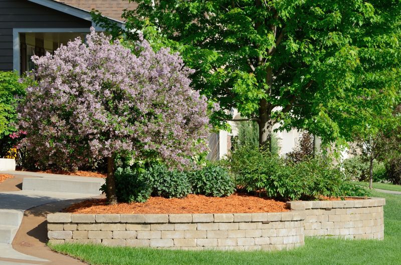 Landscape Wall Construction in Clermont, FL